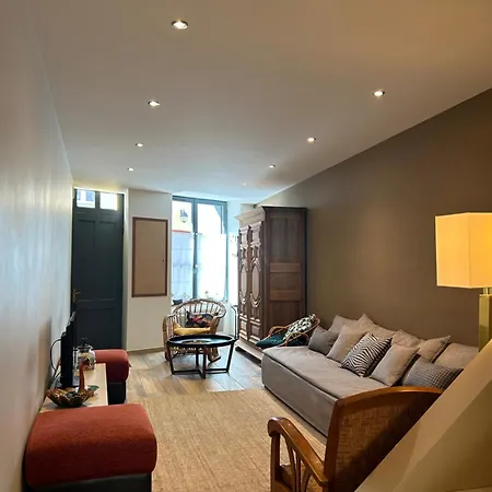 Au Pied De La Cite Medievale, Piscine, Vue Extraordinaire, La Trivala A קרקסון