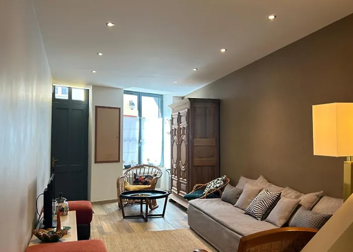 Au Pied De La Cite Medievale, Piscine, Vue Extraordinaire, La Trivala A Carcassonne